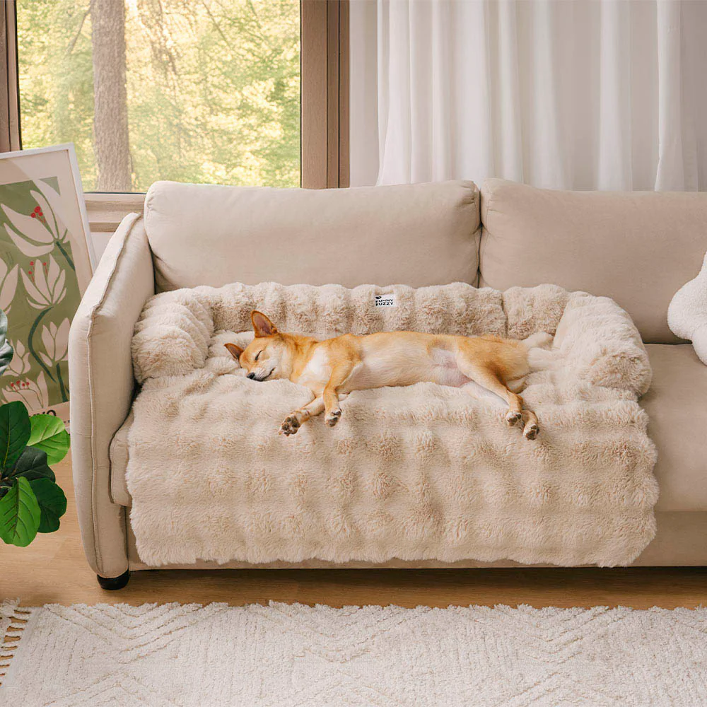 CouchHug™ Sofá, piso, donde quieras — comodidad justa y acogedora.