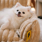 Where your pet’s rest comes first – PawSure Comfort™