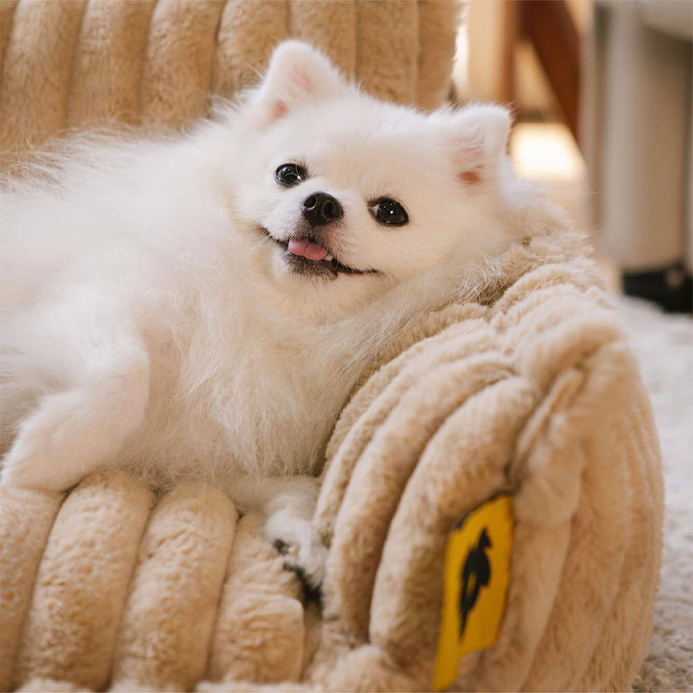 Where your pet’s rest comes first – PawSure Comfort™