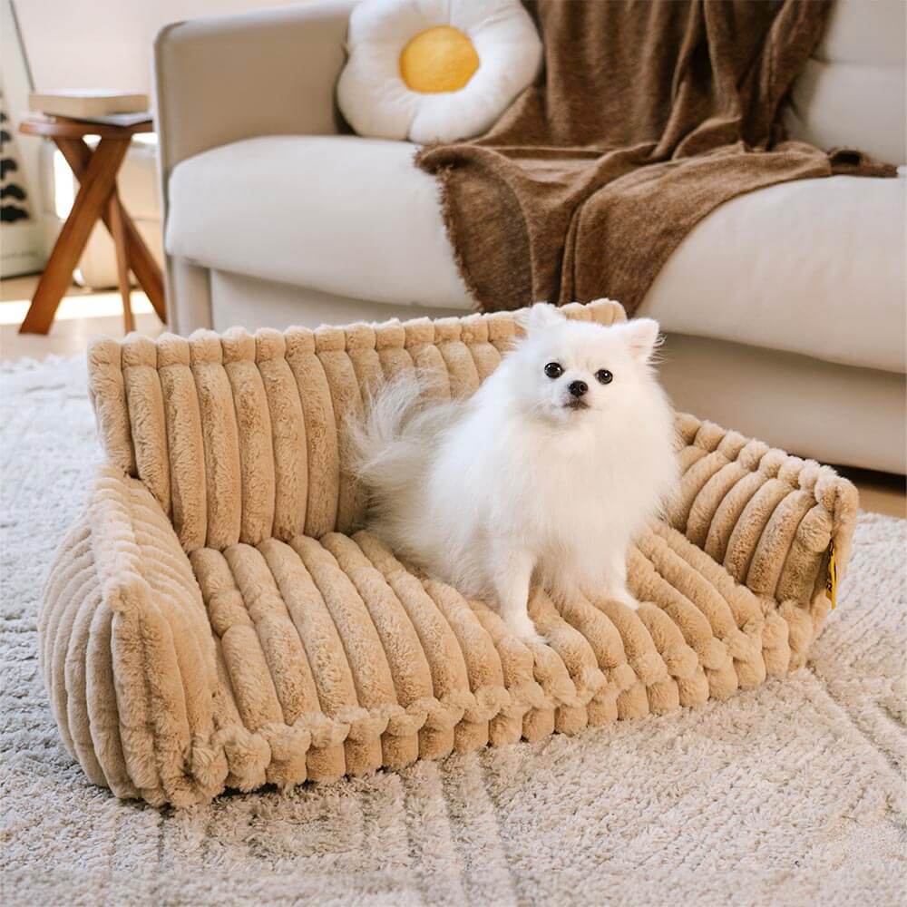 Where your pet’s rest comes first – PawSure Comfort™