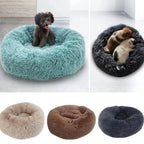 Cama pet