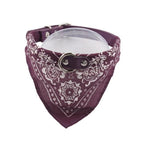 Coleira com Bandana