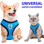 Coleira peitoral cão e gato