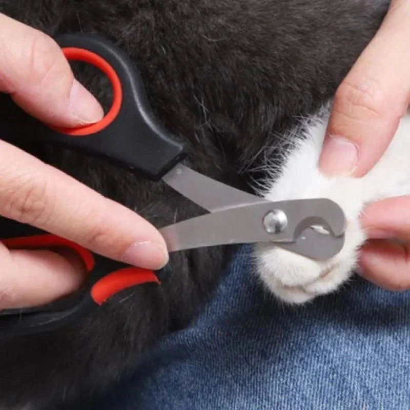Cortador de unhas pet