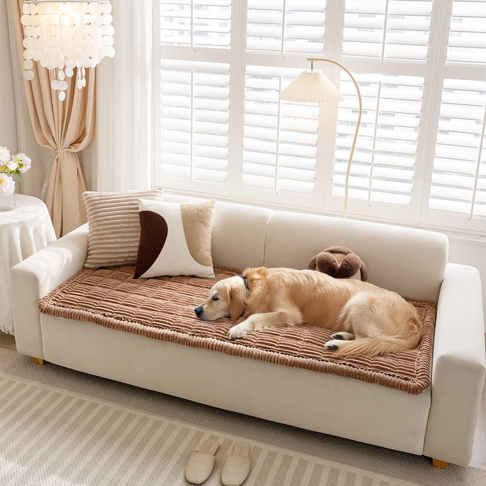PlushGuard™ – Protector de Sofá Ultrasuave para Mascotas | Franela Premium, Antideslizante y Lavable