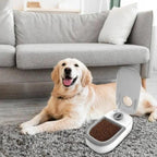 Tigela alimentadora com timer
